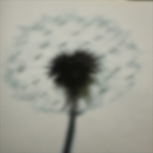 Followed By Footsteps