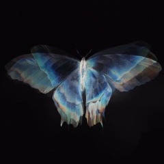 SKYDREAM SET