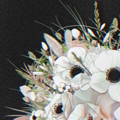 花束 (sneak peek)