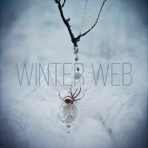 Winter Web (naviarhaiku460)
