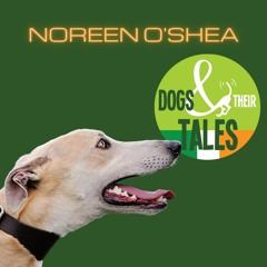 Noreen O'Shea: IRGT Dogs & Their Tales