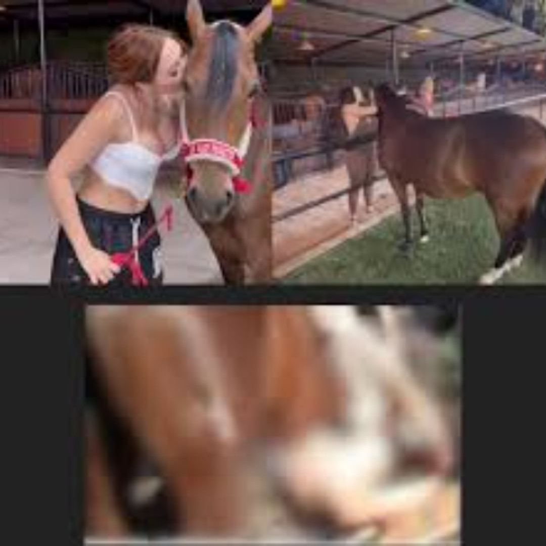 Stream episode Completo aida victoria merlano horse video con caballo by  Xpander Mobile podcast | Listen online for free on SoundCloud