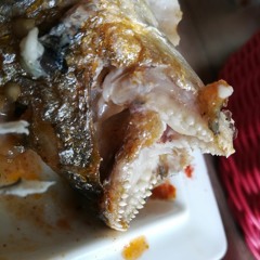 Wansom_STATIK (bad dream)