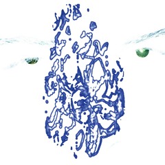 140180 Galima x Alyvos (Augalas Fusion Flip)