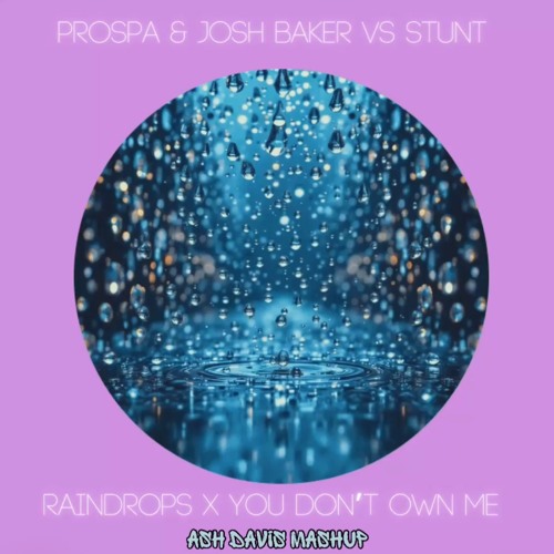 Prospa & Josh Baker X Stunt - You don't own me X Raindrops (Ash Davis Mashup) FREE DOWNLOAD