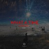 Descargar video: Netochno - What A Time (Original Mix) [TEZZLA Music] ZZ001