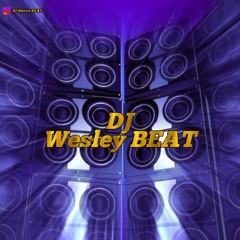 CENA DE AMOR - Brisa Star Zé Vaqueiro (FUNK REMIX) DJ Wesley BEAT