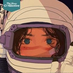 Velvet Vibes - Space Shuttle