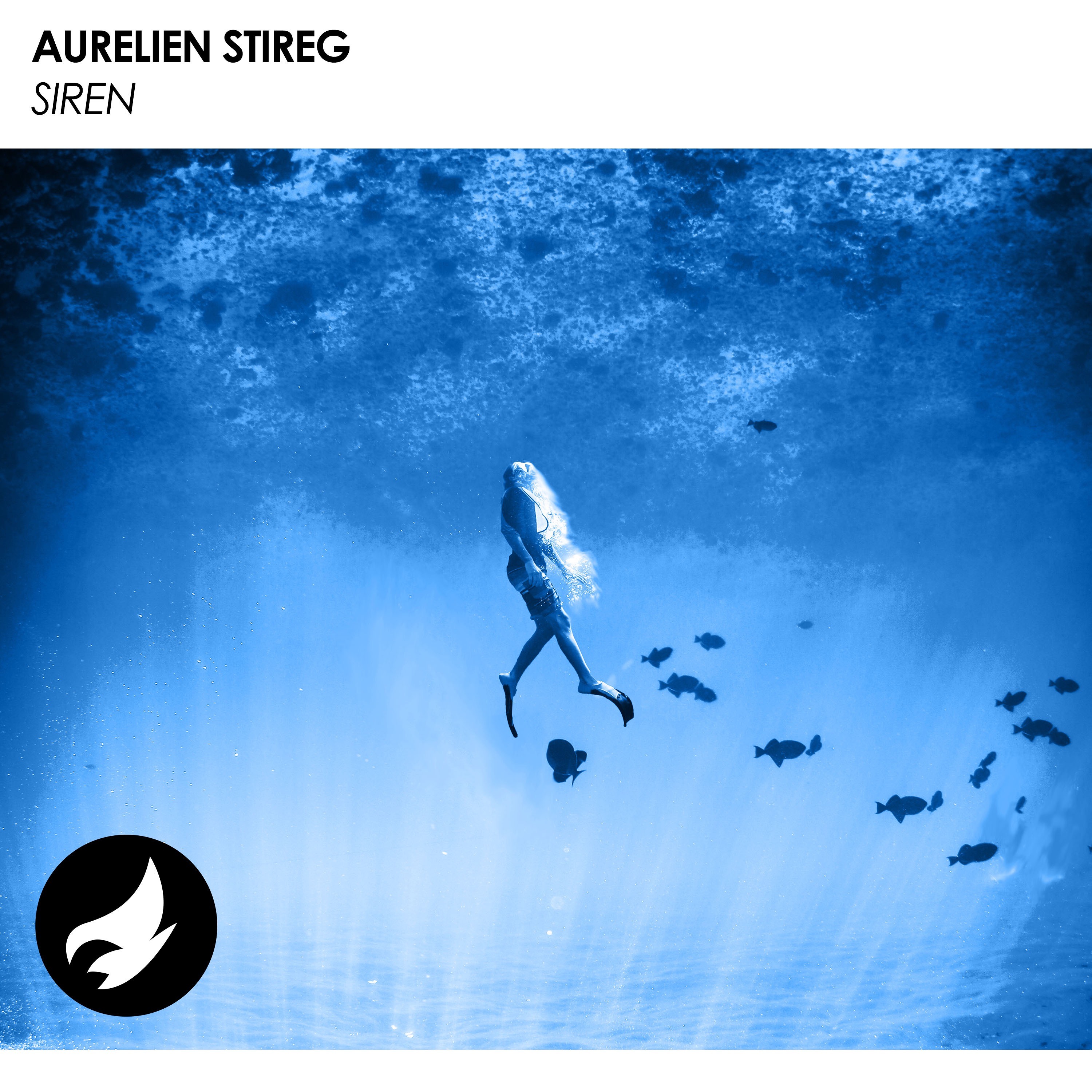 Aurelien Stireg