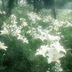 FEEL THE MOMENT /w PANZER