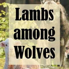 Lambs Among Wolves (Luke 10:3) - Fr. Shenouda Meleka
