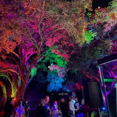 Under the Neon Moon