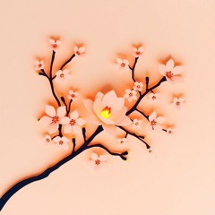 Daybreak Bloom