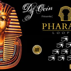 Pharaon Looper Vol.1 - Dj Ocin - Loop 4 (90 Bpm) LINK DESCRIPTION
