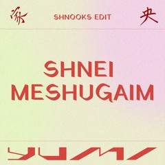 Shnei Meshugaim - Omer Adam (shnooks Edit)