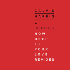 Calvin Harris - How Deep Is Your Love (Summer Remix)