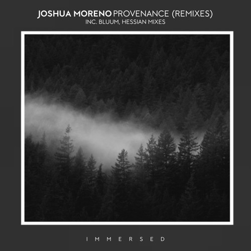 Premiere: Joshua Moreno - Der Groove-Hersteller (Bluum Extended Mix) [Immersed]