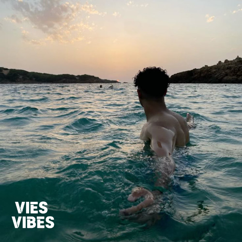 VIES VIBES - No Clouds