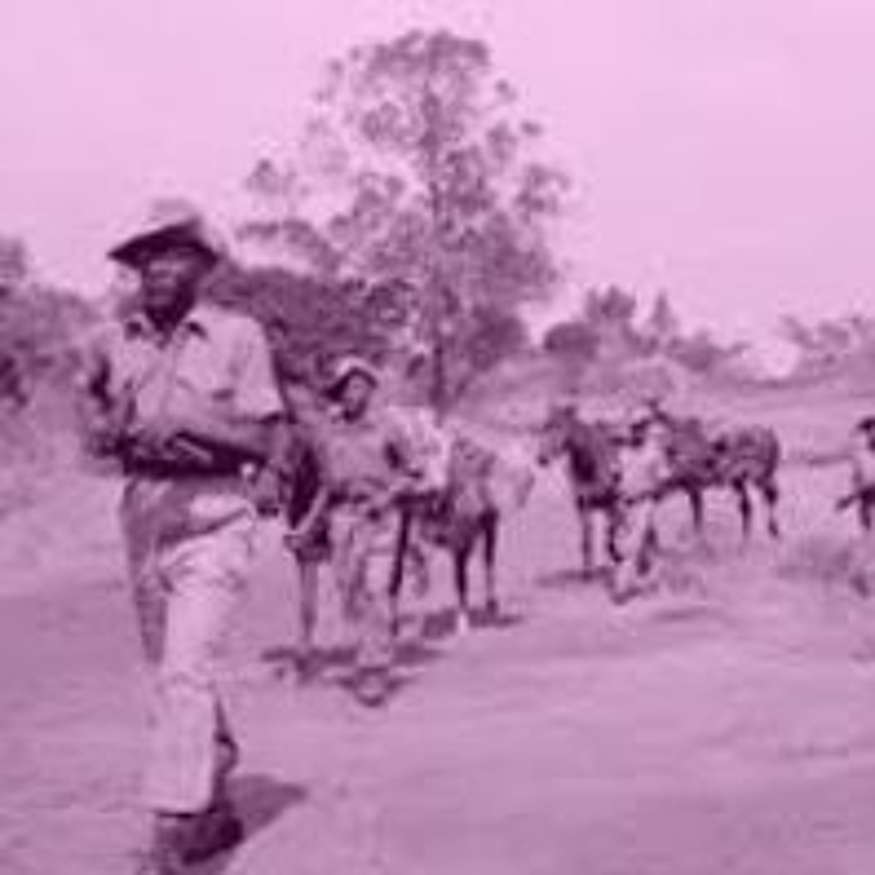 TLRH IWhose History? The 'Migrated Archive' and Britain's Colonial Past episode artwork