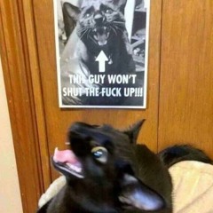 Fuck It, February Mix