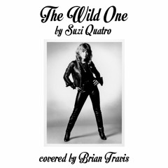 The Wild One - Suzi Quatro cover by Brian Travis