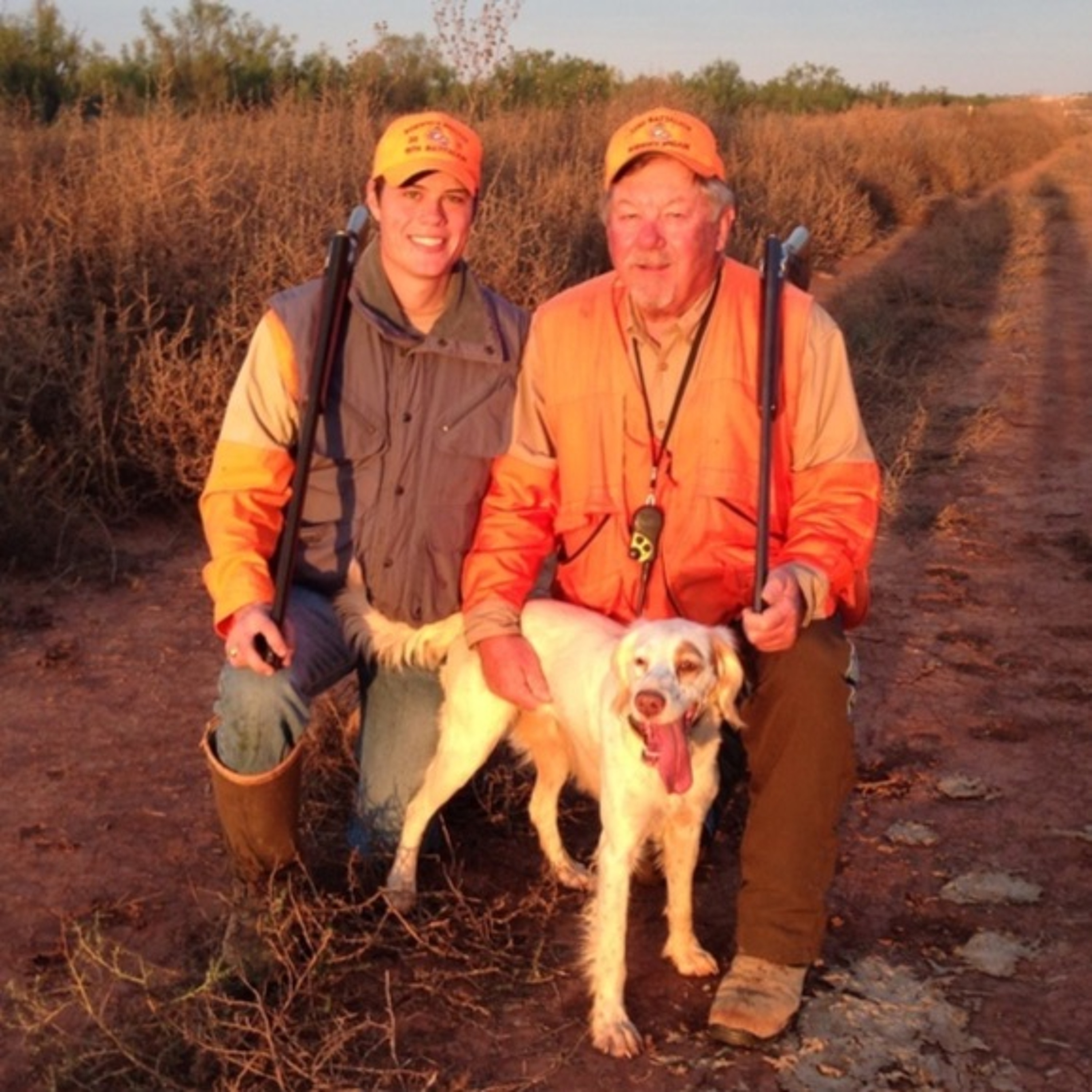 Dr. Dale on Quail