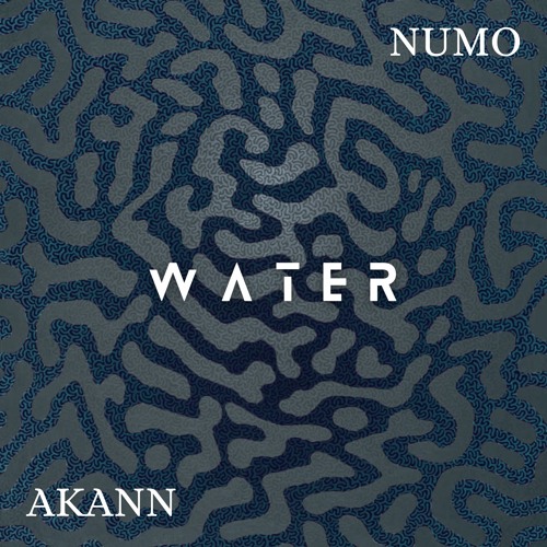 Tyla - Water [Numo & Akann Melodic Afro] *Filtered Due To COPYRIGHT