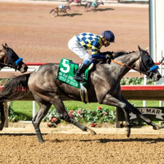 My Race Call Of The 2025 Del Mar Debutante At Del Mar Racetrack