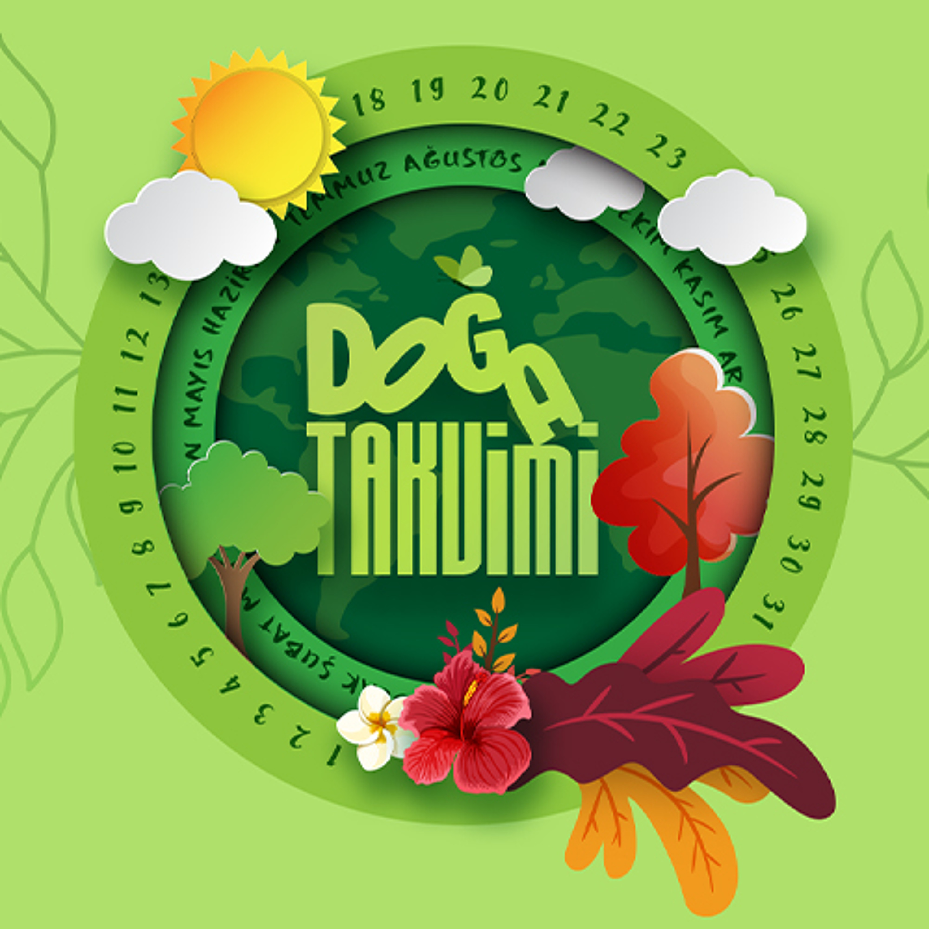 Doğa Takvimi - 22 Kasım 2025 - Orman karıncalarının rolü