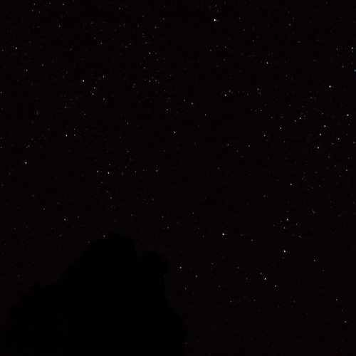 Der Verlorene Königin + Q. (A self insert bergentrückung + ASGORE)