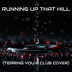 Pulse Meridian - Running Up That Hill (Tearing You a Club Cover)