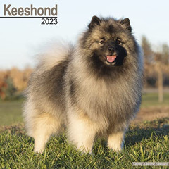 download PDF 📒 Keeshond Calendar - Dog Breed Calendars - 2022 - 2023 wall calendars