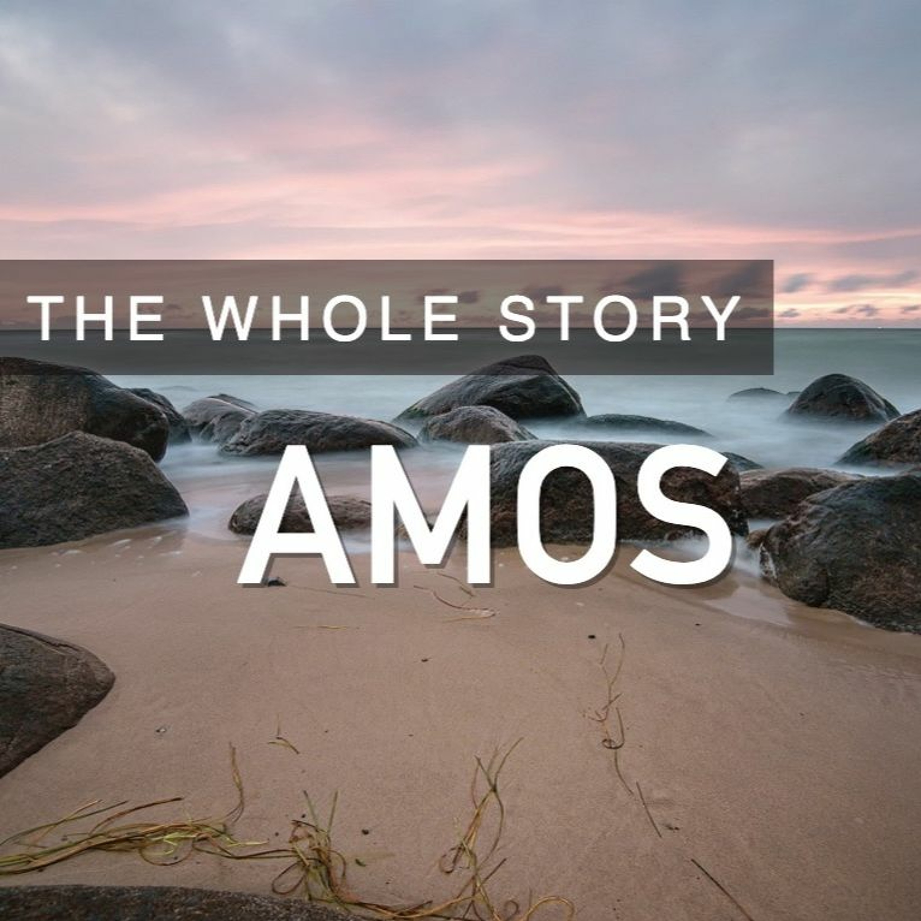 AMOS: How Do We Know What Is True? - Pastor Tim Knowles (2.14.2021) episode artwork