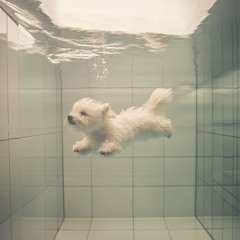 Perpetually Editable(もいっちょ)