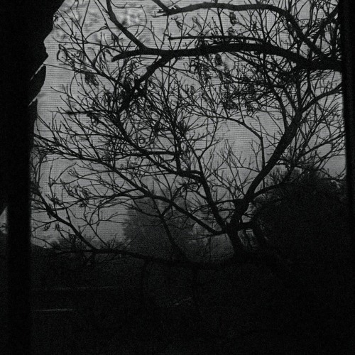 i ruined my life, i lost my friends, it just is (what it is)