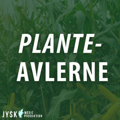 Planteavlerne 2025 - E32: Klassisk update!