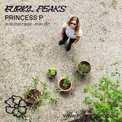 Furka Peaks: Princess P @ Furka Radio - 30.10.25
