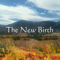 The New Birth