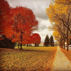 Mic Saber [feat. DiegoHugo on guitar]