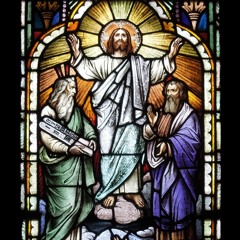 O Light That Knew No Dawn