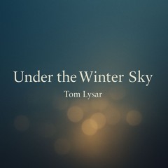 Under the Winter Sky