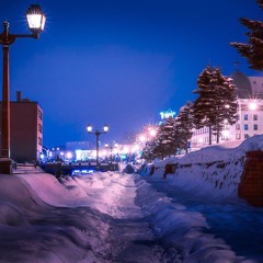 а собаки и коты