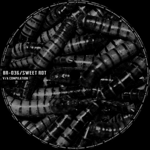 [BR-036] Hålbå - Evolution Gone Wrong