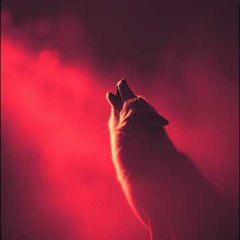 Cry, Cry and Scream ✦6 | Industrial Rock - MV