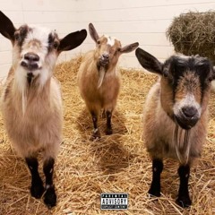 Niggas Talking Sh*t (ft Melvin & Supremelowkeyy)