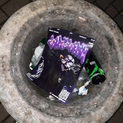 VIZIR & GROOVE - NAXYU SHINE