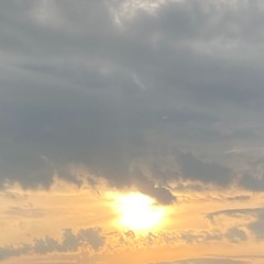 I'll Be Fine (prod. webster)