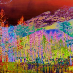 Gaps - Live 2025.mp3