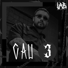cau - LAB #3