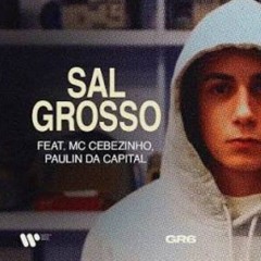 MC Hariel, MC Cebezinho e Paulin da Capital - Sal Grosso (EH NOIZ KI TÁ) (Speed Up)